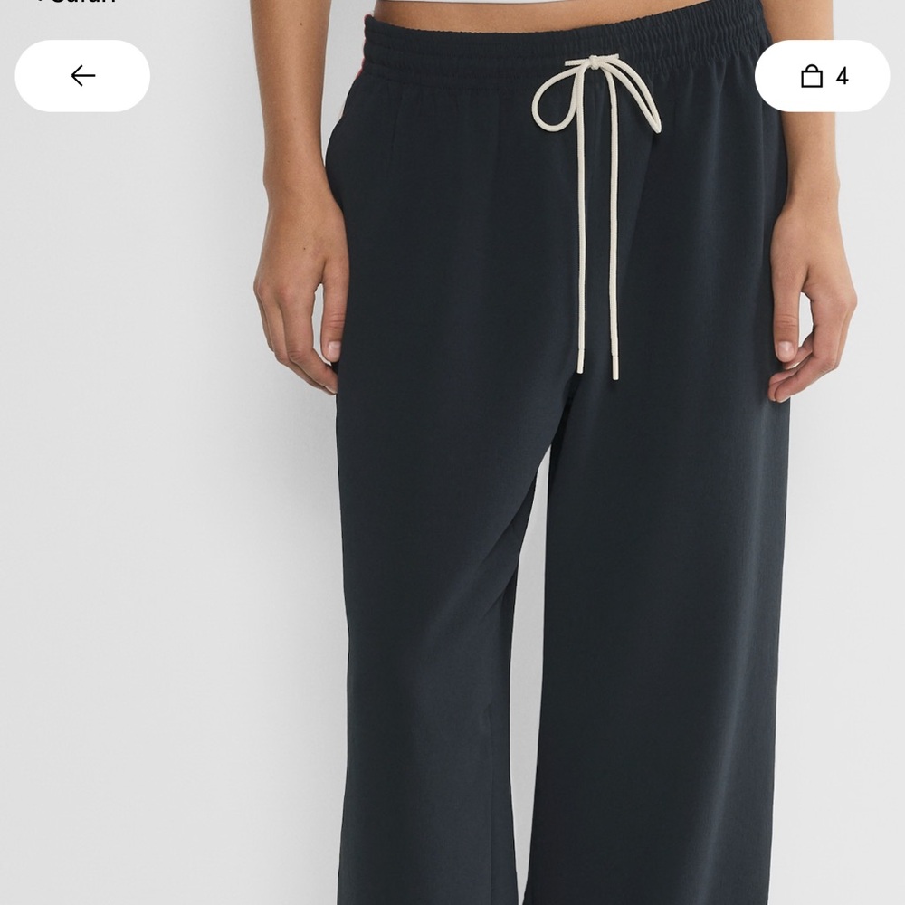 Aritzia Thesis Pant - Crepette - Picture 2 of 3